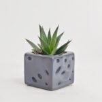 Sukulenty mix w ceramice