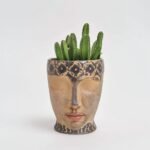 Stapelia "Totem" w ceramice